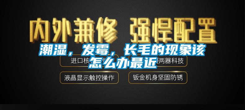 潮濕，發(fā)霉，長(zhǎng)毛的現(xiàn)象該怎么辦最近