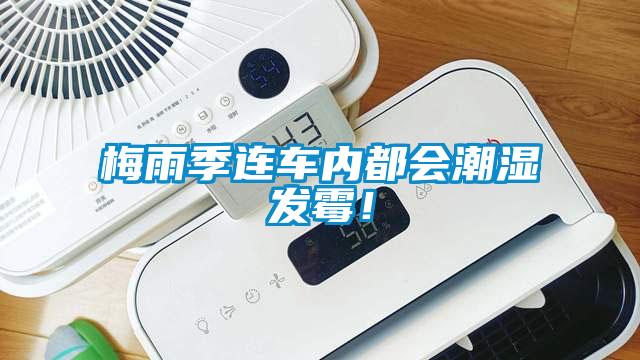 梅雨季連車內(nèi)都會(huì)潮濕發(fā)霉！