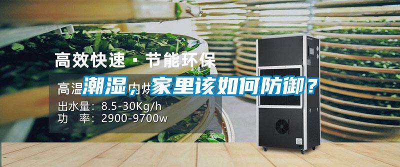潮濕，家里該如何防御？