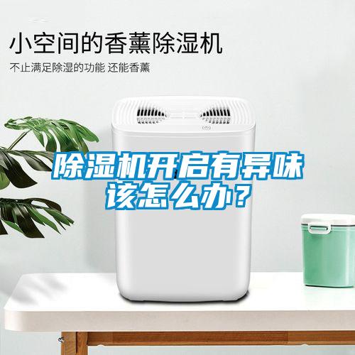 除濕機(jī)開(kāi)啟有異味該怎么辦？