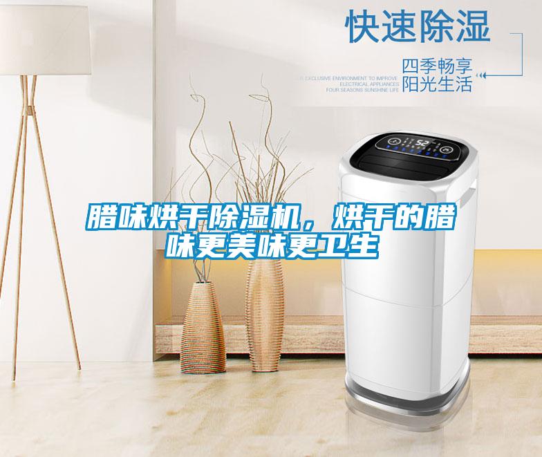 臘味烘干除濕機(jī)，烘干的臘味更美味更衛(wèi)生