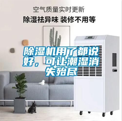 除濕機(jī)用了都說好，可讓潮濕消失殆盡