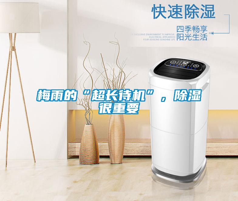 梅雨的“超長待機(jī)”，除濕很重要