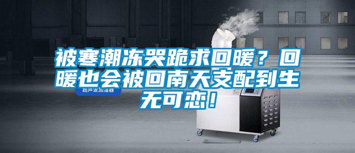 被寒潮凍哭跪求回暖？回暖也會(huì)被回南天支配到生無(wú)可戀！
