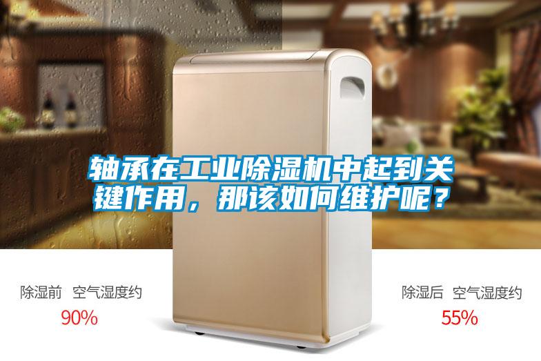 軸承在工業(yè)除濕機(jī)中起到關(guān)鍵作用，那該如何維護(hù)呢？