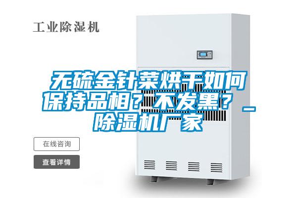 無硫金針菜烘干如何保持品相？不發(fā)黑？_除濕機(jī)廠家