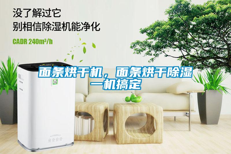 面條烘干機(jī)，面條烘干除濕一機(jī)搞定