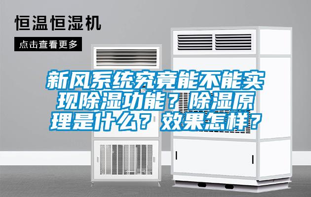 新風(fēng)系統(tǒng)究竟能不能實(shí)現(xiàn)除濕功能？除濕原理是什么？效果怎樣？