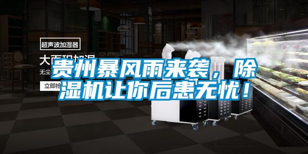 貴州暴風雨來襲，除濕機讓你后患無憂！