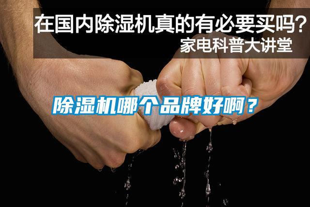 除濕機(jī)哪個品牌好?。?/></p>
						    <p style=