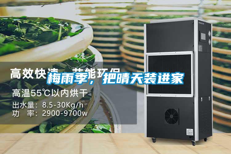 梅雨季，把晴天裝進家