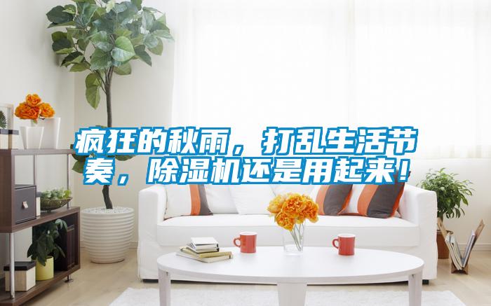 瘋狂的秋雨，打亂生活節(jié)奏，除濕機(jī)還是用起來(lái)！
