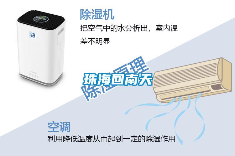 珠?；啬咸?/></p>
						    <p style=