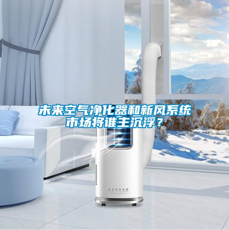 未來空氣凈化器和新風(fēng)系統(tǒng)市場將誰主沉??？