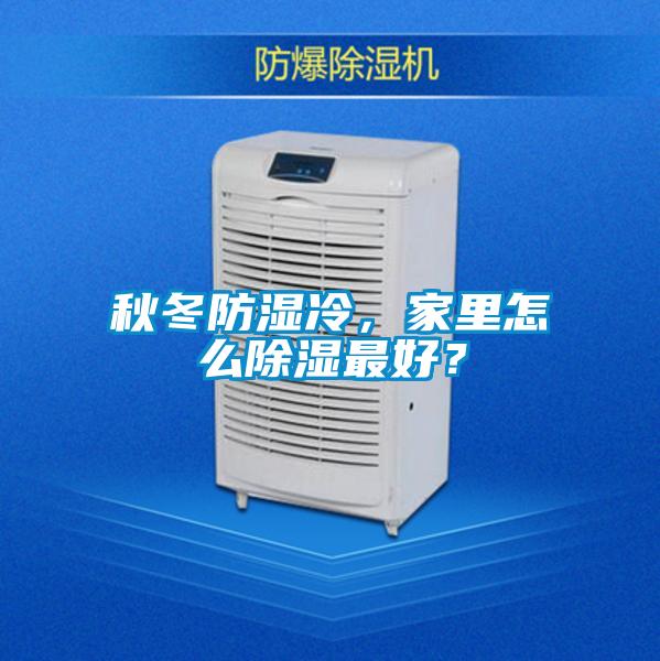 秋冬防濕冷，家里怎么除濕最好？