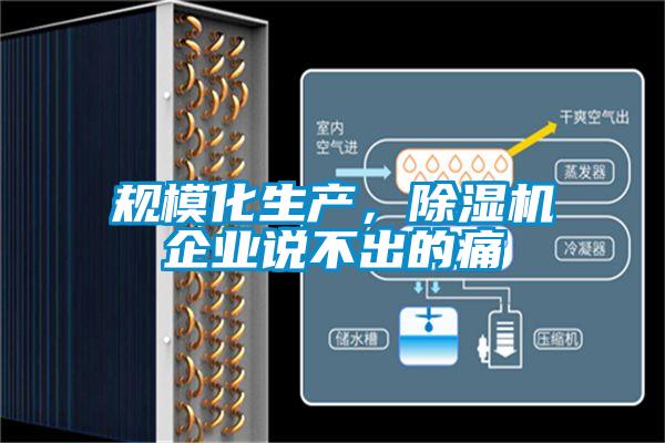 規(guī)?；a，除濕機企業(yè)說不出的痛