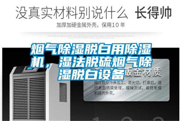 煙氣除濕脫白用除濕機(jī)，濕法脫硫煙氣除濕脫白設(shè)備
