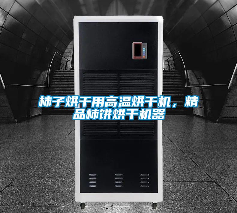 柿子烘干用高溫烘干機(jī)，精品柿餅烘干機(jī)器