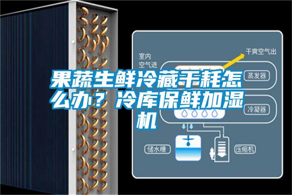 果蔬生鮮冷藏干耗怎么辦？冷庫(kù)保鮮加濕機(jī)
