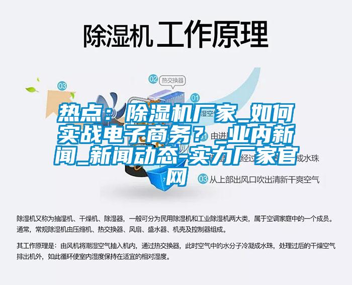 熱點(diǎn)：除濕機(jī)廠家_如何實(shí)戰(zhàn)電子商務(wù)？_業(yè)內(nèi)新聞_新聞動態(tài)-實(shí)力廠家官網(wǎng)
