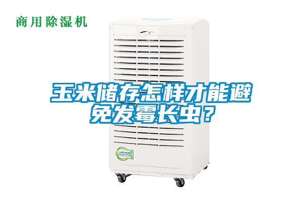 玉米儲(chǔ)存怎樣才能避免發(fā)霉長(zhǎng)蟲(chóng)？