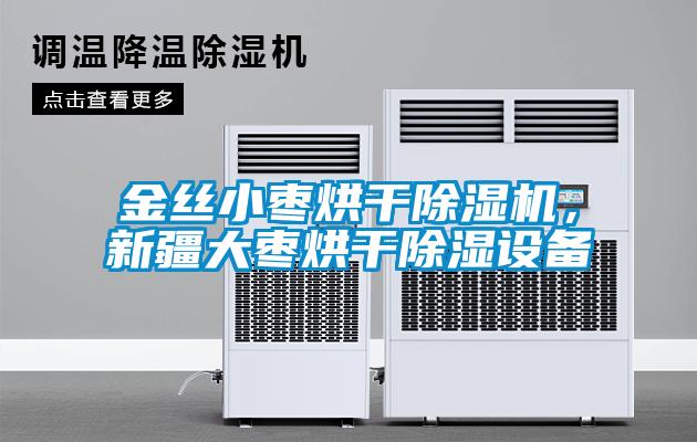 金絲小棗烘干除濕機，新疆大棗烘干除濕設(shè)備