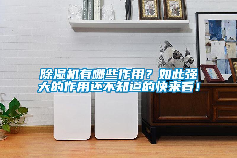除濕機有哪些作用？如此強大的作用還不知道的快來看！