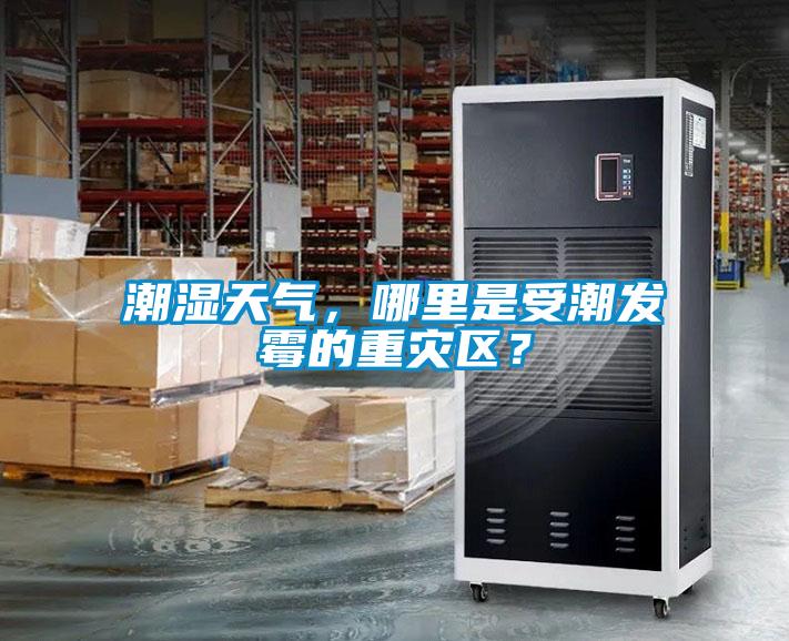 潮濕天氣，哪里是受潮發(fā)霉的重災(zāi)區(qū)？