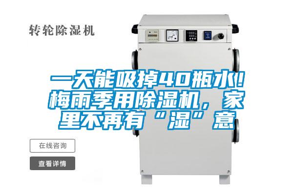 一天能吸掉40瓶水！梅雨季用除濕機(jī)，家里不再有“濕”意
