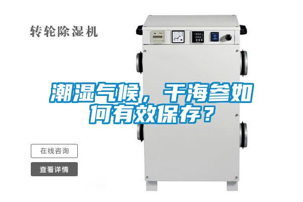 潮濕氣候，干海參如何有效保存？