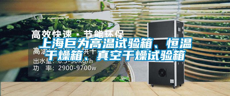 上海巨為高溫試驗(yàn)箱、恒溫干燥箱、真空干燥試驗(yàn)箱