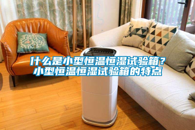 什么是小型恒溫恒濕試驗箱？小型恒溫恒濕試驗箱的特點