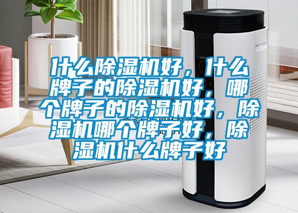 什么除濕機(jī)好，什么牌子的除濕機(jī)好，哪個(gè)牌子的除濕機(jī)好，除濕機(jī)哪個(gè)牌子好，除濕機(jī)什么牌子好
