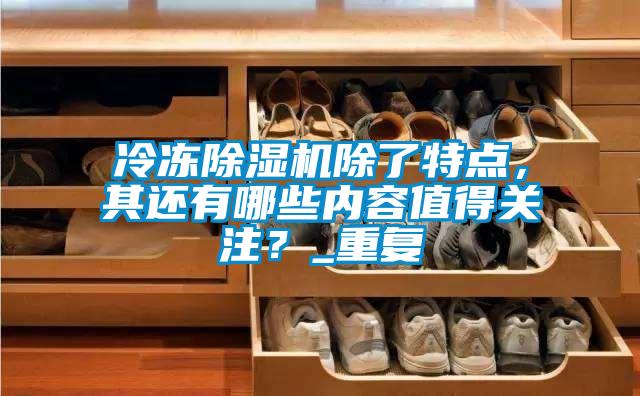 冷凍除濕機(jī)除了特點(diǎn)，其還有哪些內(nèi)容值得關(guān)注？_重復(fù)