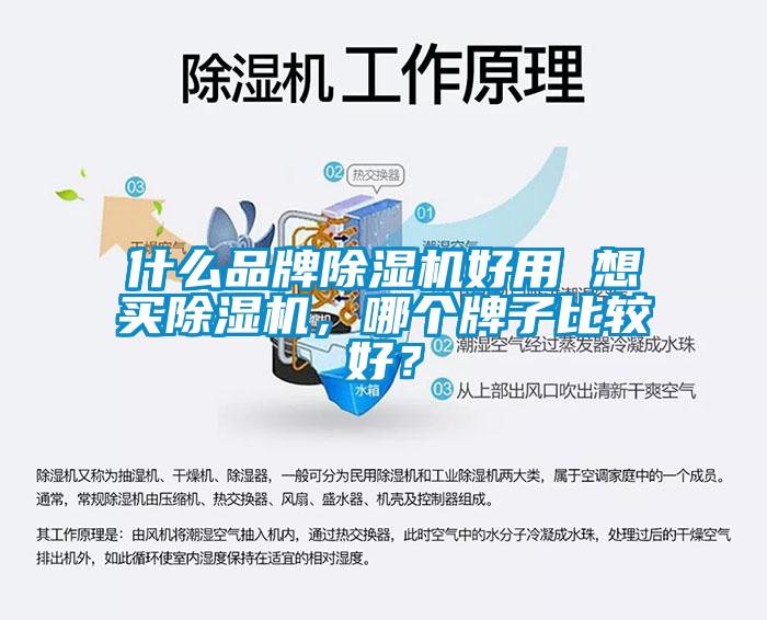 什么品牌除濕機(jī)好用 想買除濕機(jī)，哪個(gè)牌子比較好？