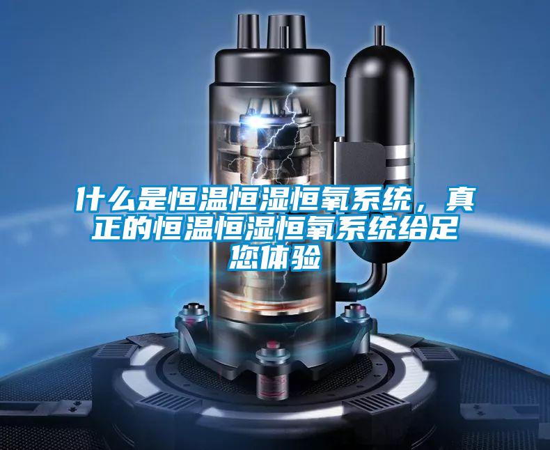 什么是恒溫恒濕恒氧系統(tǒng)，真正的恒溫恒濕恒氧系統(tǒng)給足您體驗