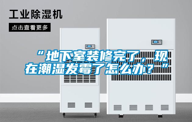 “地下室裝修完了，現(xiàn)在潮濕發(fā)霉了怎么辦？”