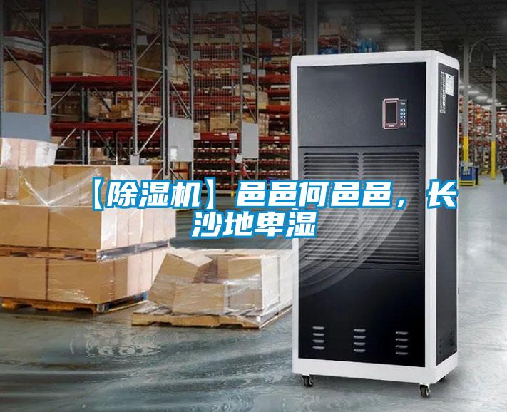 【除濕機(jī)】邑邑何邑邑，長沙地卑濕