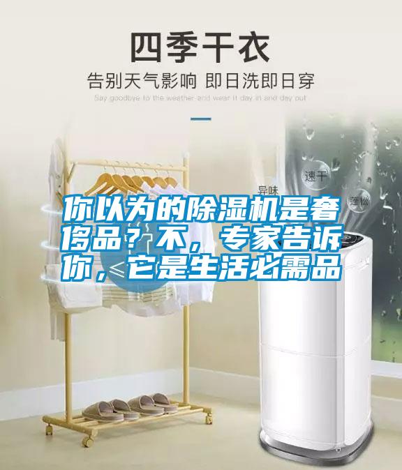 你以為的除濕機(jī)是奢侈品？不，專家告訴你，它是生活必需品