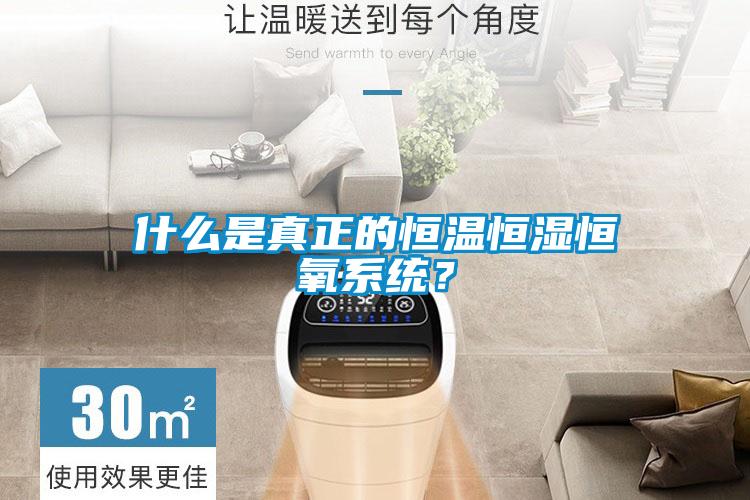 什么是真正的恒溫恒濕恒氧系統(tǒng)？