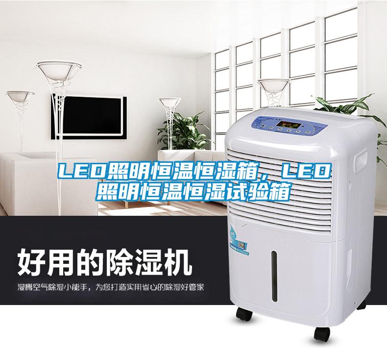 LED照明恒溫恒濕箱，LED照明恒溫恒濕試驗箱