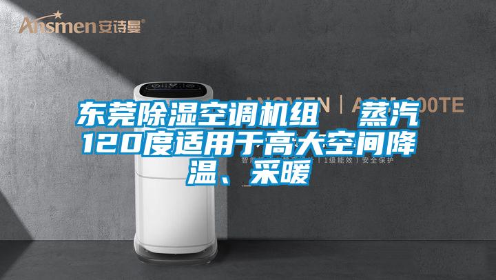 東莞除濕空調(diào)機(jī)組  蒸汽120度適用于高大空間降溫、采暖