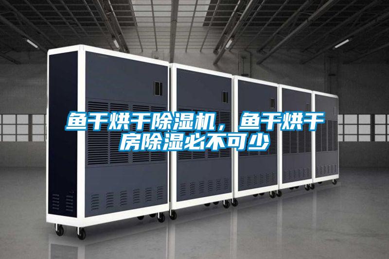 魚干烘干除濕機(jī)，魚干烘干房除濕必不可少