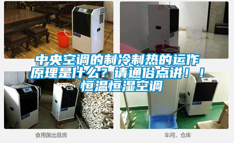 中央空調(diào)的制冷制熱的運(yùn)作原理是什么？請通俗點(diǎn)講??！ 恒溫恒濕空調(diào)