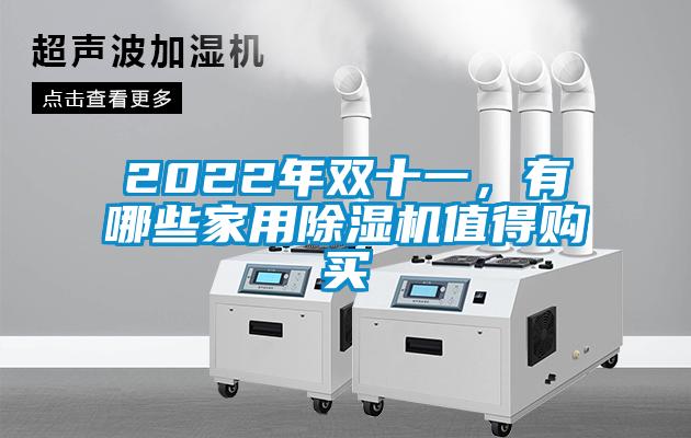 2022年雙十一，有哪些家用除濕機值得購買