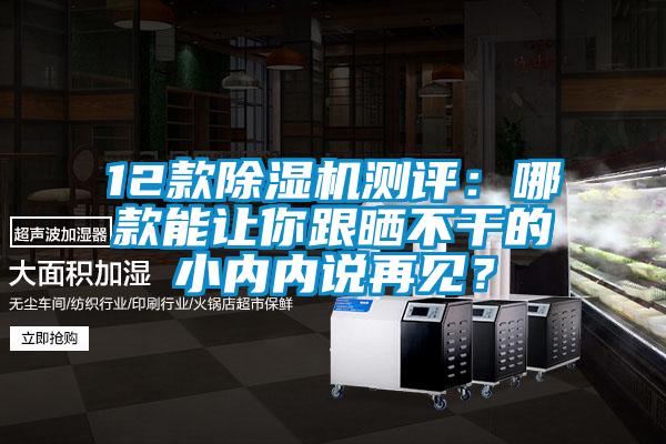 12款除濕機(jī)測評：哪款能讓你跟曬不干的小內(nèi)內(nèi)說再見？