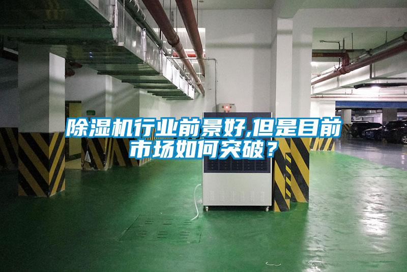 除濕機(jī)行業(yè)前景好,但是目前市場(chǎng)如何突破？