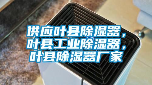 供應(yīng)葉縣除濕器，葉縣工業(yè)除濕器，葉縣除濕器廠家