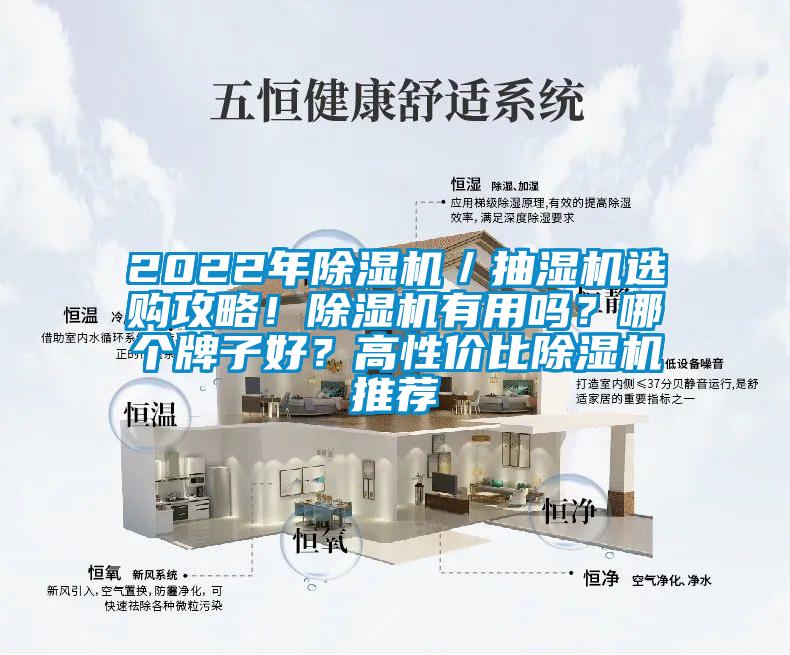 2022年除濕機／抽濕機選購攻略！除濕機有用嗎？哪個牌子好？高性價比除濕機推薦