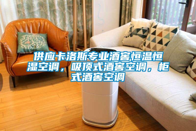 供應(yīng)卡洛斯專業(yè)酒窖恒溫恒濕空調(diào)，吸頂式酒窖空調(diào)，柜式酒窖空調(diào)